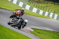 cadwell-no-limits-trackday;cadwell-park;cadwell-park-photographs;cadwell-trackday-photographs;enduro-digital-images;event-digital-images;eventdigitalimages;no-limits-trackdays;peter-wileman-photography;racing-digital-images;trackday-digital-images;trackday-photos